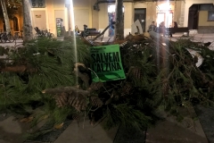 Després de l'assemblea del 3 de desembre, portem branques a la plaça de la Virreina.