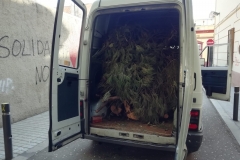 Anem a portar branques als Foguerons de Gràcia.